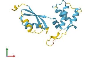 AlphaFold protein structure predicition of Mouse Recombinant Rpl12 Protein, UniprotID P35979 (RPL12 Protein (AA 1-165) (His tag))