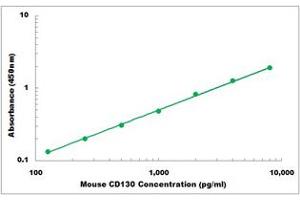 Representative Standard Curve (CD130/gp130 ELISA 试剂盒)