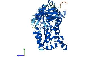 AlphaFold protein structure predicition of Human Recombinant NME7 Protein, UniprotID Q9Y5B8 (NME7 Protein (AA 1-376) (His tag))
