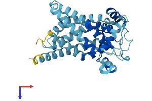 Solute Carrier Family 25, Member 34 (SLC25A34) (AA 1-304) protein (His tag)