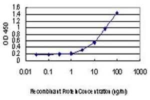 Detection limit for recombinant GST tagged CREB1 is approximately 1ng/ml as a capture antibody. (CREB1 抗体  (AA 1-95))