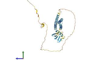 Protein Structure (PS) image for BCL2-Associated Athanogene (BAG1) (AA 1-355) protein (His tag) (ABIN7557599)
