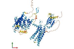 Protein Structure (PS) image for Solute Carrier Family 30 (Zinc Transporter), Member 5 (SLC30A5) (AA 1-765) protein (His tag) (ABIN7556150)