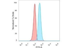 Flow cytometric analysis of PFA-fixed HeLa cells. (TDRKH 抗体)