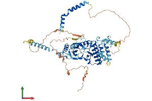 Protein Structure (PS) image for RIO Kinase 1 (RIOK1) (AA 1-567) protein (His tag) (ABIN7560233)