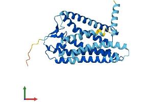 Protein Structure (PS) image for Olfactory Receptor, Family 5, Subfamily I, Member 1 (OR5I1) (AA 1-314) protein (His tag) (ABIN7550462)