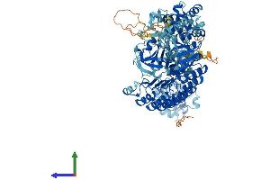 Protein Structure (PS) image for Nucleotide-Binding Oligomerization Domain Containing 1 (NOD1) (AA 1-953) protein (His tag) (ABIN7554773)