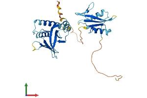 Protein Structure (PS) image for Signal Transducing Adaptor Family Member 1 (STAP1) (AA 1-295) protein (His tag) (ABIN7546398)