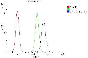 Flow Cytometry analysis of THP-1 cells using anti-SMARCA2 antibody (ABIN7600367).