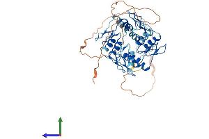 Protein Structure (PS) image for Zinc Finger Protein 70 (ZNF70) (AA 1-446) protein (His tag) (ABIN7545703)