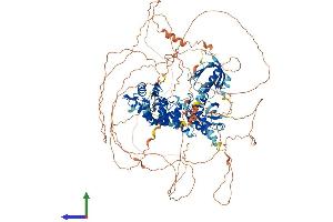 AlphaFold protein structure predicition of Mouse Recombinant Agap2 Protein, UniprotID Q3UHD9 (AGAP2 Protein (AA 1-1186) (His tag))