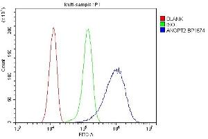 Flow Cytometry analysis of HeLa cells using anti-ANGPT2 antibody (ABIN7601450). (Angiopoietin 2 抗体  (AA 357-404))