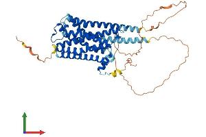 Protein Structure (PS) image for Muscarinic Acetylcholine Receptor M1 (CHRM1) (AA 1-460) protein (His tag) (ABIN7562849)
