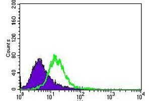 Flow cytometric analysis of HeLa cells using MAP1LC3A mouse mAb (green) and negative control (purple). (MAP1LC3A 抗体  (AA 1-121))