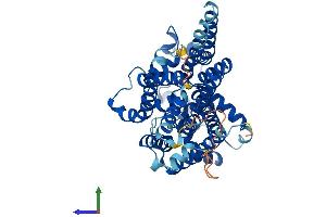 AlphaFold protein structure predicition of Mouse Recombinant Pigv Protein, UniprotID Q7TPN3