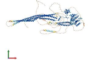 Protein Structure (PS) image for SLIT-ROBO rho GTPase Activating Protein 3 (SRGAP3) (AA 1-1099) protein (His tag) (ABIN7564321)