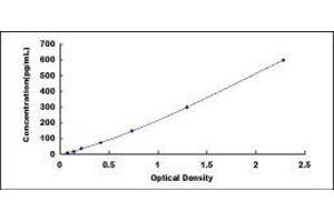 Complement Component C4d (C4d) ELISA Kit