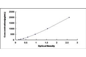 Typical standard curve (CDK16 ELISA 试剂盒)