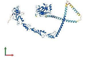 AlphaFold protein structure predicition of Mouse Recombinant Traf5 Protein, UniprotID P70191