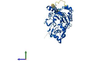 Protein Structure (PS) image for Glucosaminyl (N-Acetyl) Transferase 4, Core 2 (Beta-1,6-N-Acetylglucosaminyltransferase) (GCNT4) (AA 1-455) protein (His tag) (ABIN7562131)