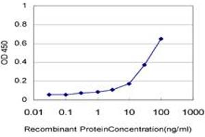 Detection limit for recombinant GST tagged RIN2 is approximately 1ng/ml as a capture antibody. (RIN2 抗体  (AA 786-894))