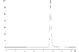Size-exclusion chromatography-High Pressure Liquid Chromatography (SEC-HPLC) image for Kallikrein 5 (KLK5) (AA 23-293) protein (His tag) (ABIN7275095)