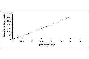 Typical standard curve (Ferritin ELISA 试剂盒)