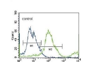 Flow Cytometry (FACS) image for anti-Solute Carrier Family 36 (Proton/amino Acid Symporter), Member 1 (SLC36A1) (AA 1-30), (N-Term) antibody (ABIN656104)