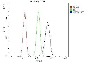 Flow Cytometry analysis of A431 cells using anti-HSPD1 antibody (ABIN7600976). (HSPD1 抗体  (AA 260-496))