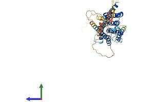 Protein Structure (PS) image for Dopamine Receptor D3 (DRD3) (AA 1-400) protein (His tag) (ABIN7547211)