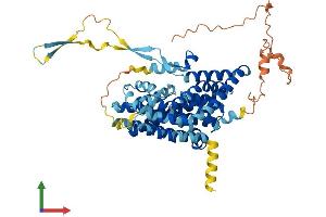 Protein Structure (PS) image for Solute Carrier Family 1 (Glutamate Transporter), Member 7 (SLC1A7) (AA 1-559) protein (His tag) (ABIN7559402)