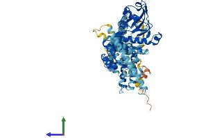 AlphaFold protein structure predicition of Human Recombinant ADCK5 Protein, UniprotID Q3MIX3