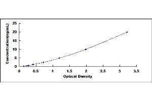 Typical standard curve (HRC ELISA 试剂盒)