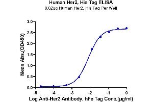 ELISA image for Receptor tyrosine-protein kinase erbB-2 (ErbB2/Her2) (AA 23-652) protein (His-Avi Tag) (ABIN7274799)
