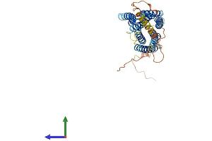 Protein Structure (PS) image for G Protein-Coupled Receptor, Family C, Group 5, Member D (GPRC5D) (AA 1-345) protein (His tag) (ABIN7548094)