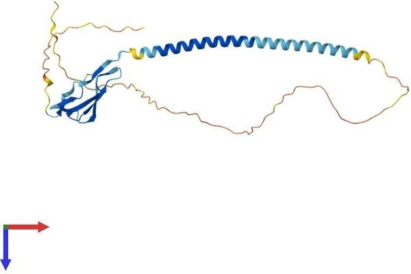 SUSD3 Protein (AA 1-255) (His tag)