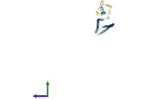 AlphaFold protein structure predicition of Mouse Recombinant Ccdc65 Protein, UniprotID Q8VHI7