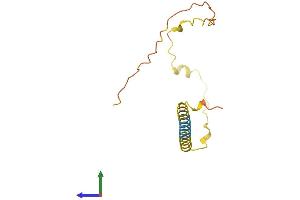 AlphaFold protein structure predicition of Human Recombinant NKAPP1 Protein, UniprotID Q8N9T2