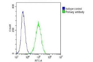 Overlay histogram showing NIH/3T3 cells stained with (ABIN6242659 and ABIN6578660) (green line). (TUBB 抗体  (AA 46-78))