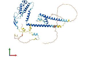 Protein Structure (PS) image for DNA Methyltransferase 1-Associated Protein 1 (DMAP1) (AA 1-467) protein (His tag) (ABIN7553724)