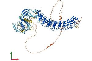 Protein Structure (PS) image for Receptor-Interacting Serine-threonine Kinase 4 (RIPK4) (AA 1-832) protein (His tag) (ABIN7555225)