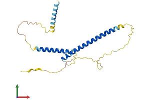 AlphaFold protein structure predicition of Mouse Recombinant Mxd4 Protein, UniprotID Q60948