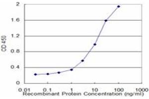 Detection limit for recombinant GST tagged BLMH is approximately 0. (BLMH 抗体  (AA 356-454))
