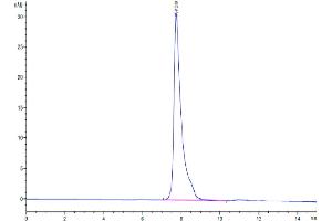 Size-exclusion chromatography-High Pressure Liquid Chromatography (SEC-HPLC) image for Signaling Lymphocytic Activation Molecule Family Member 1 (SLAMF1) (AA 21-237) protein (His-Avi Tag,Biotin) (ABIN7275623)
