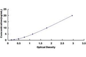 Typical standard curve (TTBK2 ELISA 试剂盒)