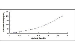Typical standard curve (Dynamin 1 ELISA 试剂盒)