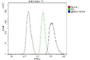 Flow Cytometry analysis of A431 cells using anti-ARNTL2 antibody (ABIN6719445). (ARNTL2 抗体  (AA 461-575))