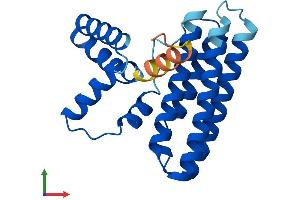 Protein Structure (PS) image for Programmed Cell Death 10 (PDCD10) (AA 1-212) protein (His tag) (ABIN7559890)