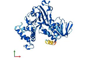 Protein Structure (PS) image for GDP Dissociation Inhibitor 2 (GDI2) (AA 1-445) protein (His tag) (ABIN7547919)