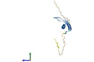 AlphaFold protein structure predicition of Human Recombinant PFDN2 Protein, UniprotID Q9UHV9